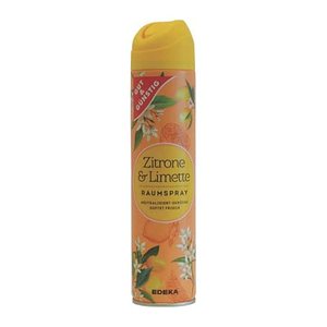 GUT&GÜNSTIG Raumspray Citrus 300,0 ml, 1 St.