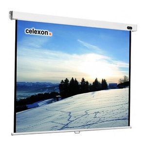 celexon Rolloleinwand Professional 1:1, 160 x 160 cm Projektionsfläche