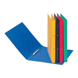 PAGNA Ringbuch 2-Ringe grün 3,0 cm DIN A4, 1 St.