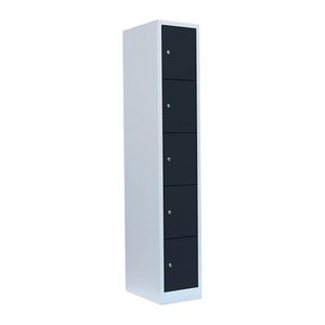 LÜLLMANN Schließfachschrank anthrazit, lichtgrau 520518, 5 Schließfächer 31,5 x 50,0 x 180,0 cm