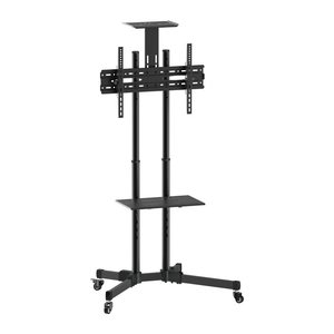 Equip Bodenstandhalter 37"-70"/1TFT 50kg Multifunkt. sw lite Retail