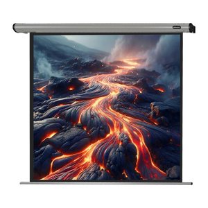 celexon elektrische Rolloleinwand HomeCinema Motor 1:1, 220 x 220 cm Projektionsfläche