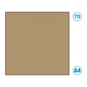 folia Fotokarton braun 300 g/qm 50 St.