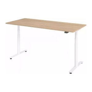 HAMMERBACHER VXDLR19 elektrisch höhenverstellbarer Schreibtisch eiche rechteckig, T-Fuß-Gestell weiß 180,0 x 80,0 cm