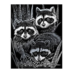 PRACHT® Creatives Kratzbild Waschbären silber