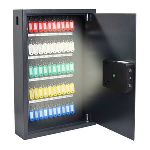 pavo High Security Smart-WiFi 8025367 Schlüsseltresor grau mit 50 Haken, Fingerabdruck, WiFi, Zahlencode, 38,0 x 10,0 x 55,0 cm, 1 St.