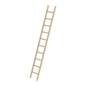 MUNK Anlegeleiter 33110 natur 10 Sprossen, H: 300,0 cm