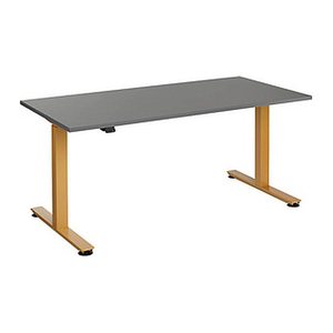 HAMMERBACHER XMST16 elektrisch höhenverstellbarer Schreibtisch grafit rechteckig, T-Fuß-Gestell gold 160,0 x 80,0 cm