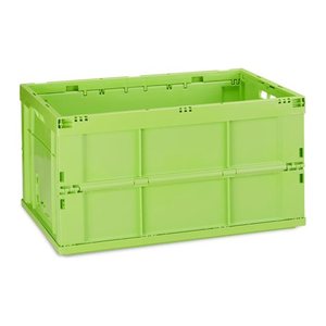 relaxdays Klappbox 60,0 l grün 58,5 x 40,0 x 31,5 cm, 1 St.