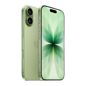 Apple iPhone 17 salbei 256 GB