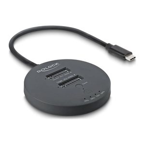 DELOCK USB 20 Gbps M.2 Dockingstation 2x M.2 NVMe PCIe SSD