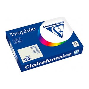 Clairefontaine Kopierpapier Trophée grau DIN A4 120 g/qm 250 Blatt