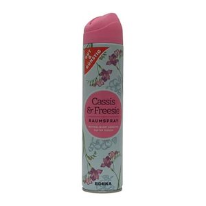 GUT&GÜNSTIG Raumspray blumig 300,0 ml, 1 St.