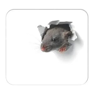 RNK-Verlag Mousepad-Notizblock weiß/grau Papier 24,0 x 22,0 cm, 30 Blatt