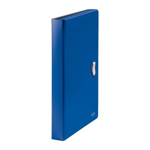 LEITZ Fächermappe recycle 4624 5 Fächer blau, 1 St.