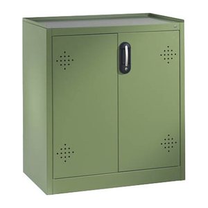 CP Umweltschrank 8821-315 S10163 resedagrün 2 Fachböden 93,0 x 50,0 x 100,0 cm, aufgebaut, 1 St.