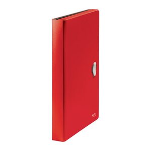 LEITZ Fächermappe recycle 4624 5 Fächer rot, 1 St.