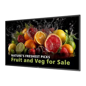 PHILIPS D-Line 43BDL5050D 109,2cm(43") 24/7/UHD/Android14