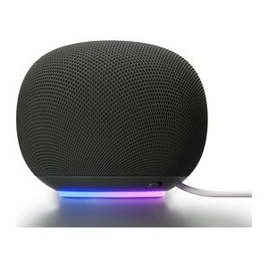 Google Home Grey