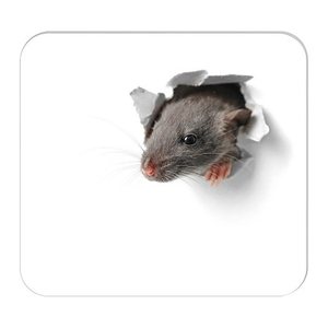 RNK-Verlag Mousepad-Notizblock weiß/grün Papier 24,0 x 22,0 cm, 30 Blatt