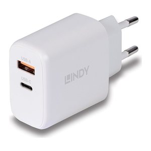 LINDY USB Ladegerät Typ A+C GaN Charger 65W, weiß