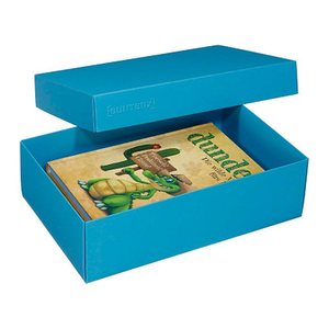 BUNTBOX L Geschenkboxen 3,6 l blau 26,6 x 17,2 x 7,8 cm, 2 St.