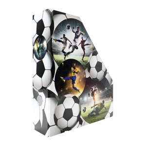 HERMA Stehsammler 19716 Fußball Karton, DIN A4, 1 St.