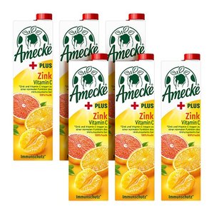 Amecke + Zink Fruchtsaftkonzentrat 6x 1,0 l