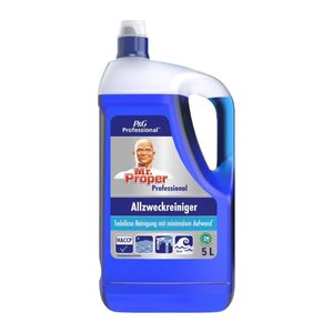 Mr. Proper Professional Ocean Allzweckreiniger 5 l, 1 St.