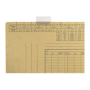 LEITZ Vollsichtreiter 2455 transparent, 50 St.