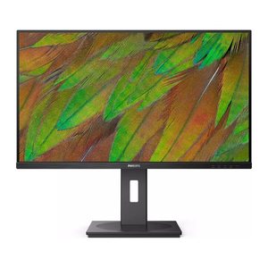 Philips 80,0cm (31,5") 32B1N3800 16:09 HDMI+DP+USB black