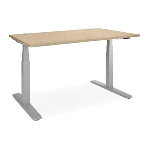 Elektrisch höhenverstellbarer Schreibtisch – Gestell Grau (1600 x 800 mm, Platte Ahorn)