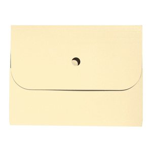 ELCO Sammelmappen Ordo forte 0,3 cm hellchamois, 25 St.