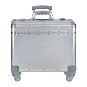 ALUMAXX Pilotenkoffer PANDORA Aluminium silber 47,0 x 25,0 x 36,0 cm