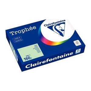 Clairefontaine Kopierpapier Trophée hellgrün DIN A4 160 g/qm 250 Blatt
