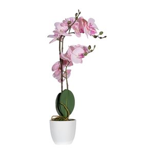 meet powered by PAPERFLOW ORCHIDEE Kunstpflanze 50,0 cm