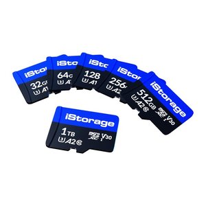 iStorage Speicherkarte microSDXC, 256 GB, 1 St.