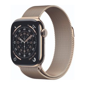 Apple Watch Series 11 42 mm Titan (GPS+Cellular) Sportarmband M/L  steingrau, natur