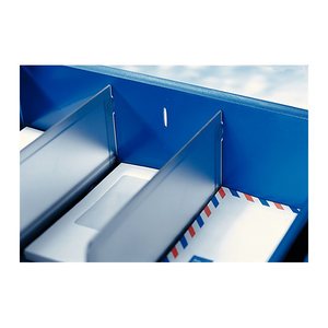 LEITZ Trennwand für Briefablagen Sorty transparent, 2 St.