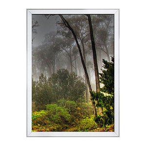 update displays  Klapprahmen silber 62,4 x 87,1 cm, 1 St.