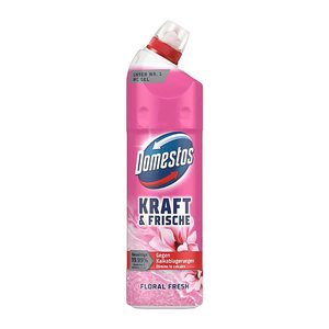 Domestos KRAFT & FRISCHE GEL WC-Reiniger FLORAL FRESH, 750 ml