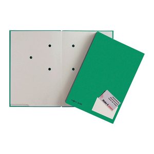 PAGNA Unterschriftenmappe 20 Fächer grün, 1 St.