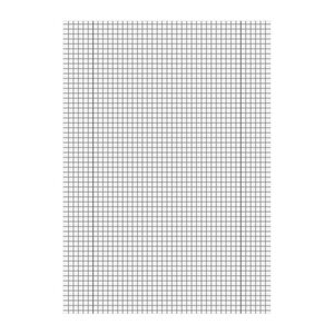 Staufen® Schulhefte Lineatur 28 kariert DIN A4 Innen- und Außenrand, 16 Blatt, 10 St.