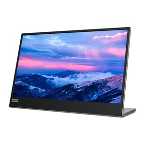 Lenovo L15 Monitor 40,0 cm (16,0 Zoll) schwarz