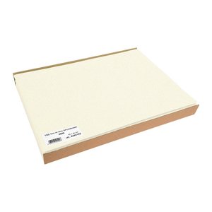 PROnappe Platzsets beige 30,0 x 40,0 cm, 100 St.