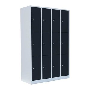 LÜLLMANN Schließfachschrank anthrazit, lichtgrau 520348, 12 Schließfächer 117,0 x 50,0 x 180,0 cm
