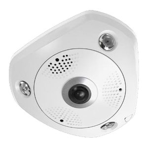 LevelOne IPCam Fisheye Dome In 12MP/H.265/IR/ 12W/PoE/IP67