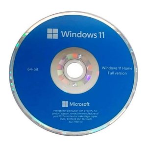 Windows 11 Home 64Bit DSP 1pk Englisch DVD