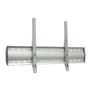 ergotron TV-Wandhalterung WM starr silber