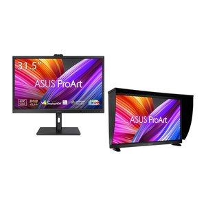 ASUS ProArt OLED PA32DC 80.1cm (16:9) UHD HDMI DP